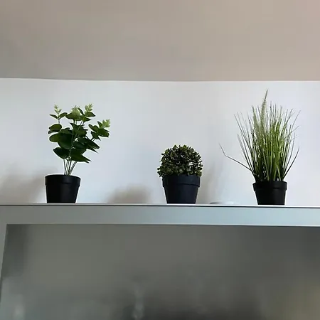 Le Mahonia بيت للعطل إيبورت