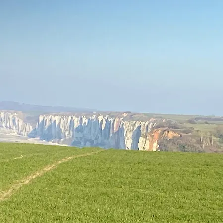 Le Mahonia إيبورت