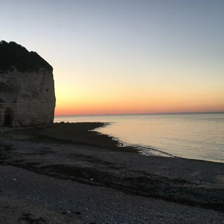 Le Mahonia Ипор